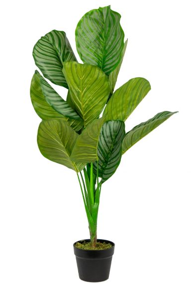 Calathea-orbifolia-kunstplant