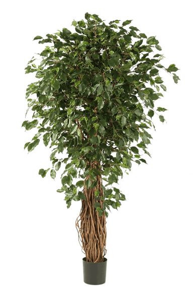 Ficus exotica kunstboom 3