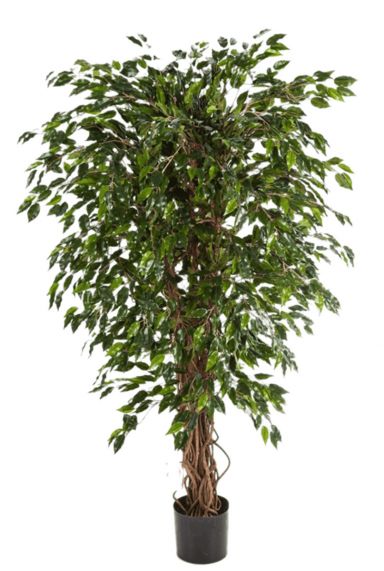 Ficus kunstboom