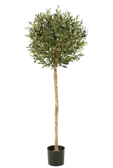 Olivetree kunstplant