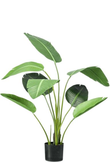Strelitzia kunstplant 1