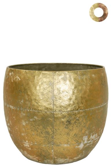 Ter-steege-thomas-gold-33cm