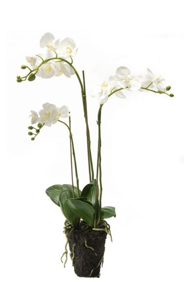 Weiße Orchideen-Kunstpflanze