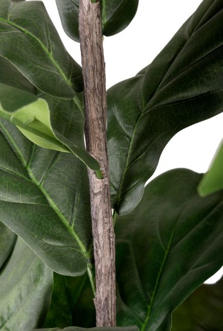 Lyrata tabaksplant kunstboom