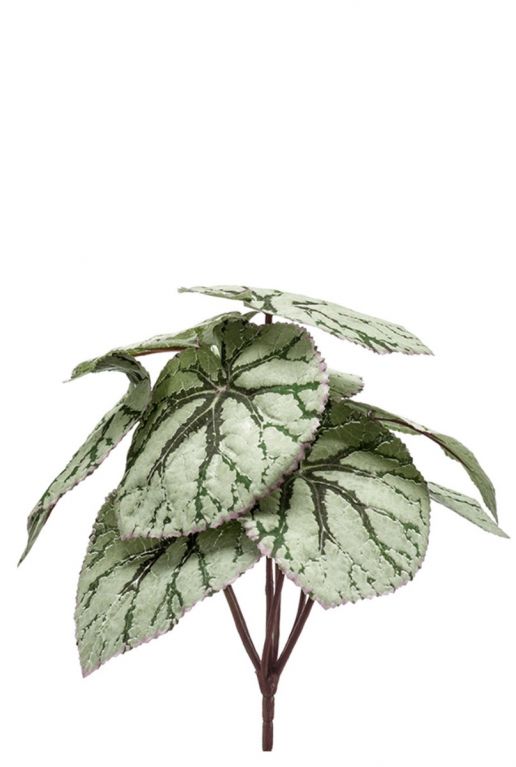 Begonia nepplant kunstplant