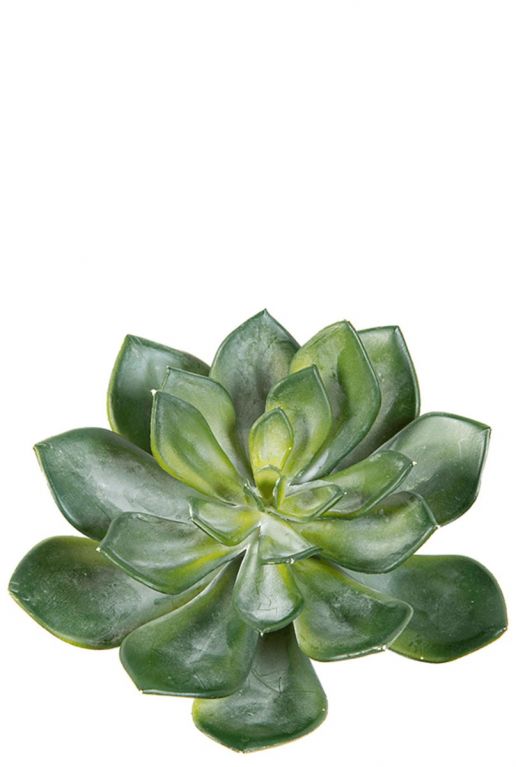 Sukkulente Echeveria Fetthenne Kunstpflanze Dekopflanze getopft 185651-50 F67 