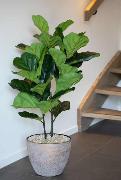 Ficus kunstplant 1