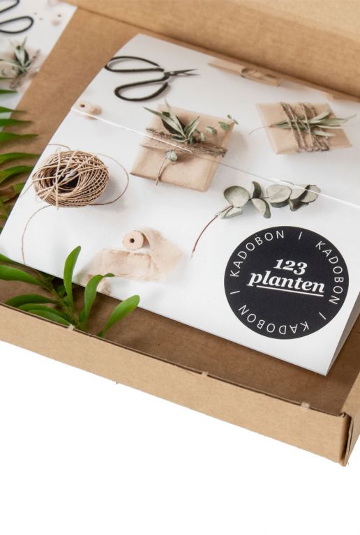 Kamerplanten-cadeaubon