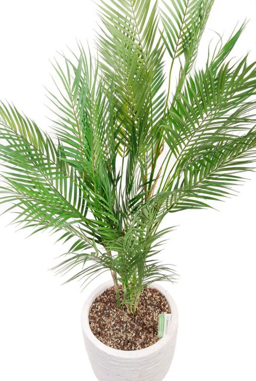 Kunstpalm kantoorplant 1