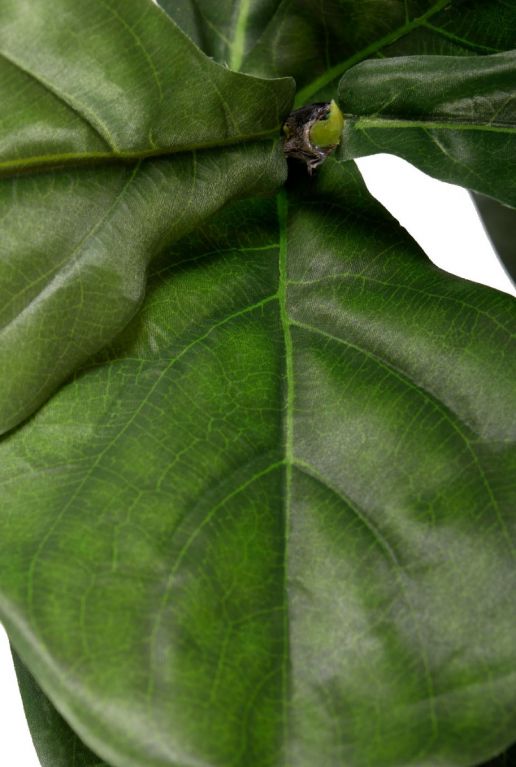 Lyrata tabaksplant kunstplant 2