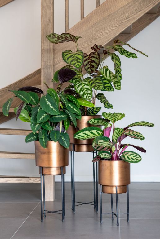 Minou bloempot standaard 4