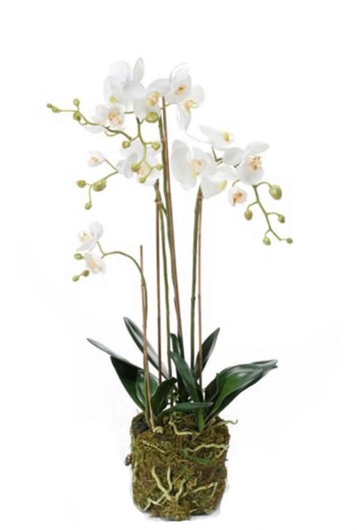 Phalaenopsis orchidee künstliche Blume 1