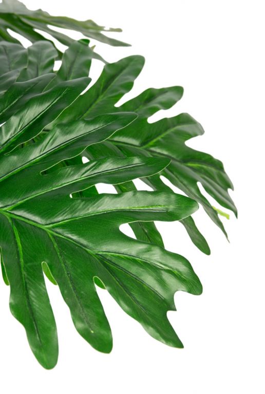Philodendron-kunstplant-bladeren-closeup
