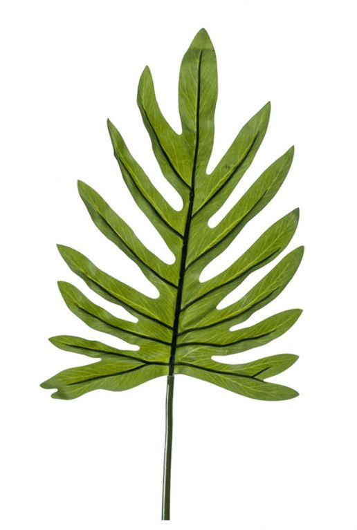 Philodendron kunstblad