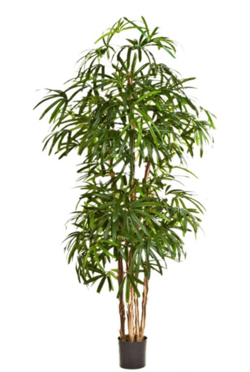Rhapis palme kunstpflanze
