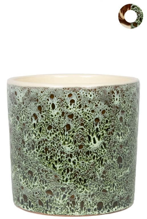 Ter-steege-gaby-grun-14cm