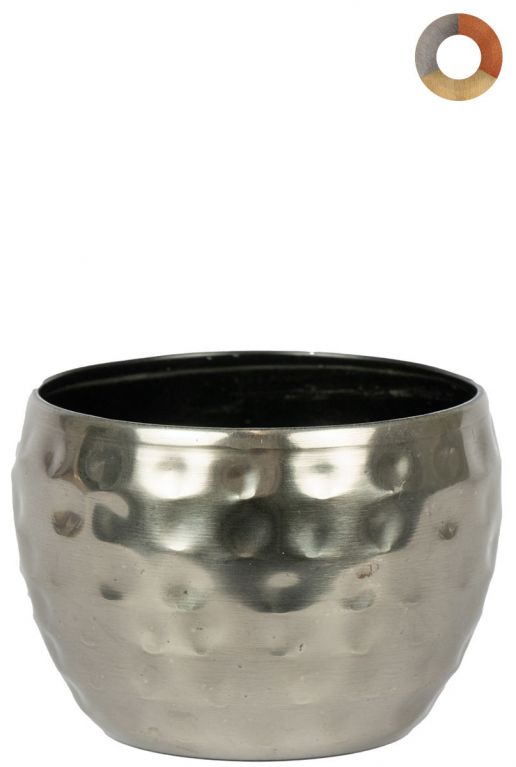 Ter-steege-kody-silber-9cm 1