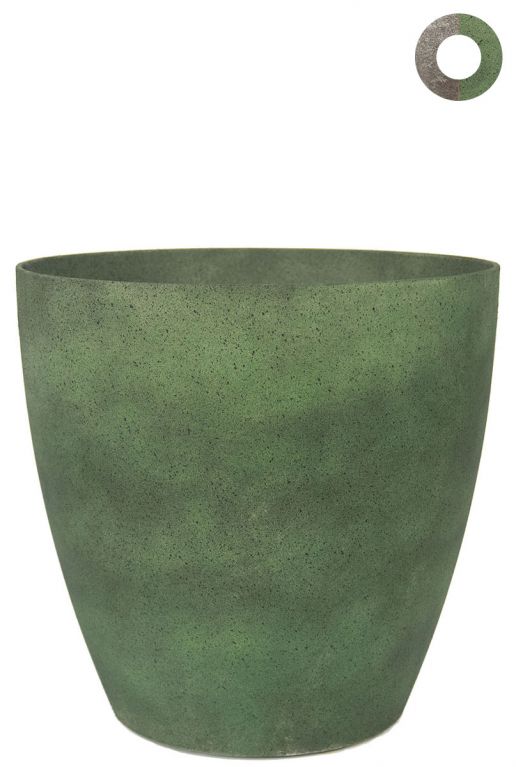 Ter-steege-naomi-grun-25cm 1