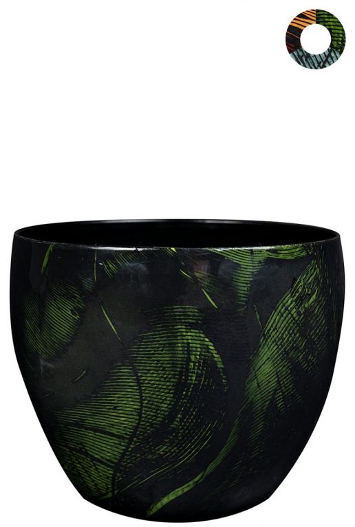 Ter-steege-vive-grun-15cm 1 1