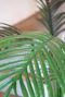 Areca palm kunstplanten