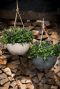 Artstone pot hangplant 1