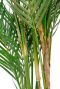 Chamaedorea palm kunstplant 1