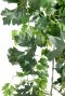 Cissus hangplant kunstplant