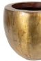 Goldener blumentopf