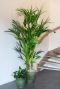 Gruener blumentopf 3 1
