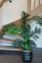 Kunstpflanzen areca palme