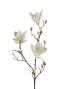 Magnolia kunstbloem tak
