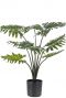 Philodendron kunstplanten groen