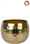 Ter-steege-kody-gold-7cm 1