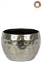 Ter-steege-kody-silber-9cm 1