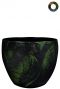 Ter-steege-vive-grun-21cm
