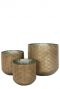 Trendy plantenbakken 2