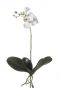 Weiße Orchidee künstliche Blume
