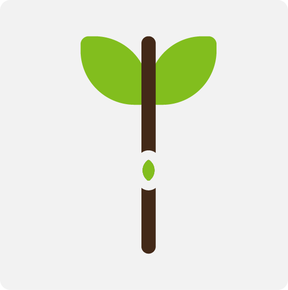 Inokulation Inokulation